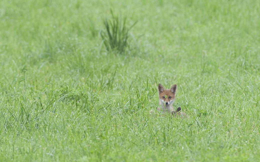 allez petit frère....on rentre