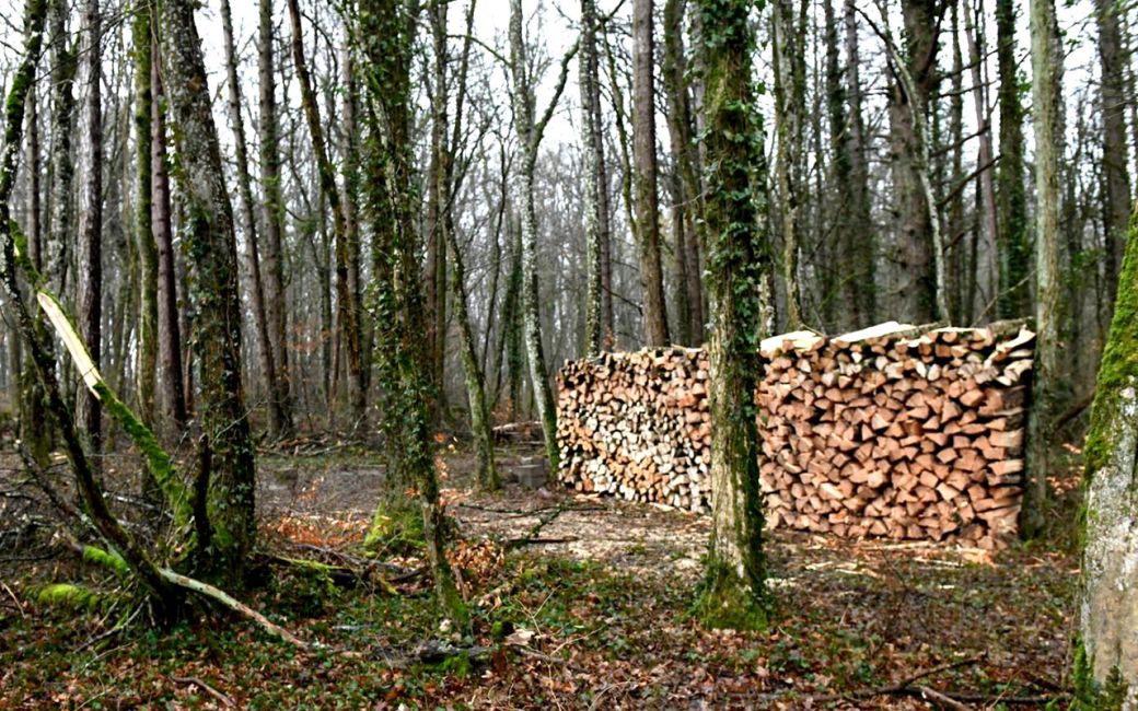 D'abord dégager le terrain...