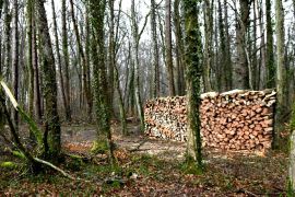 D'abord dégager le terrain...