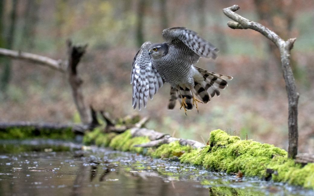 se poser sur la glace!....