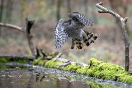 se poser sur la glace!....